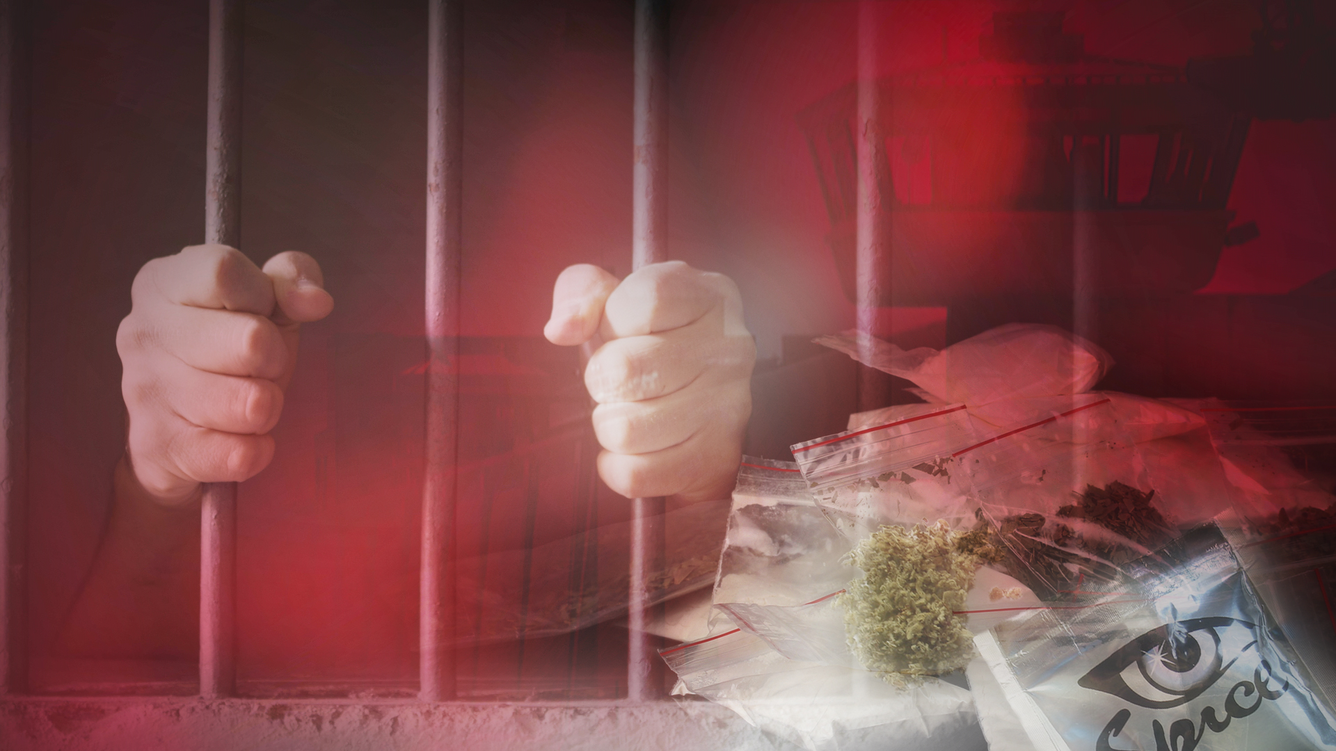 New Yorks Drug Infested Prisons